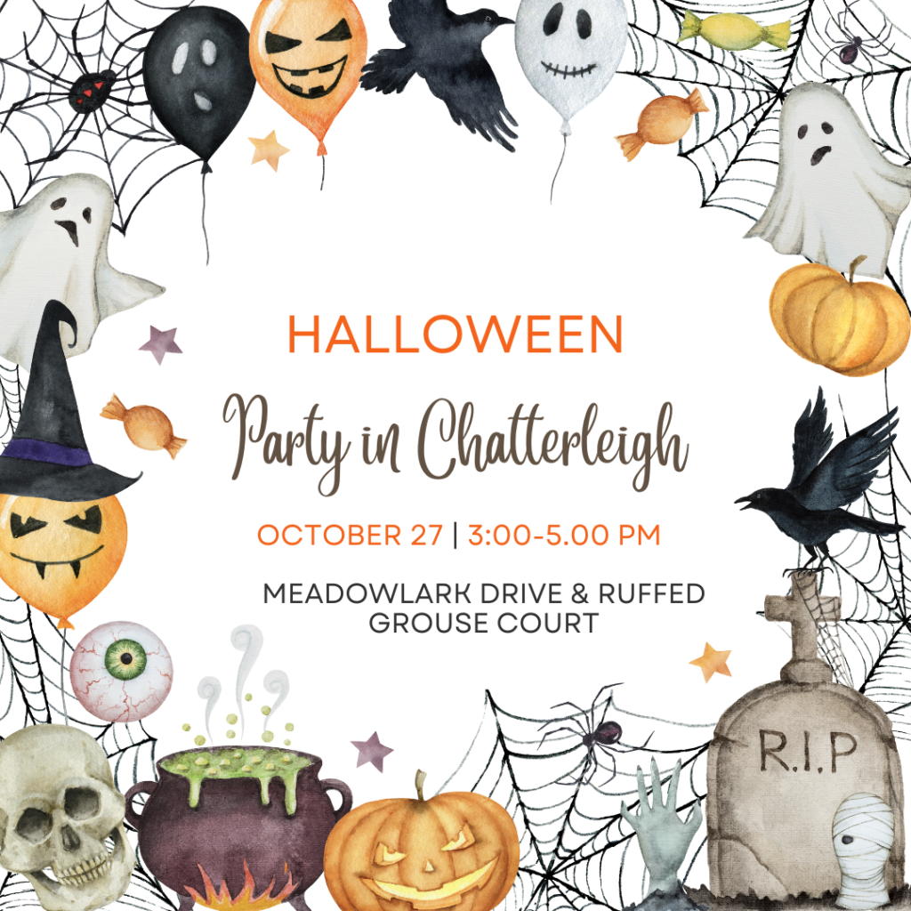 2024 Community Halloween Party Chatterleigh Association